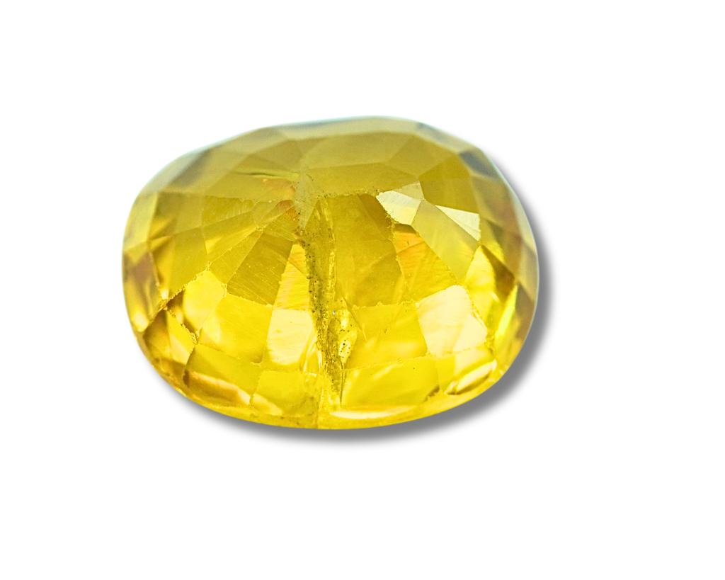 Product Gallery Image