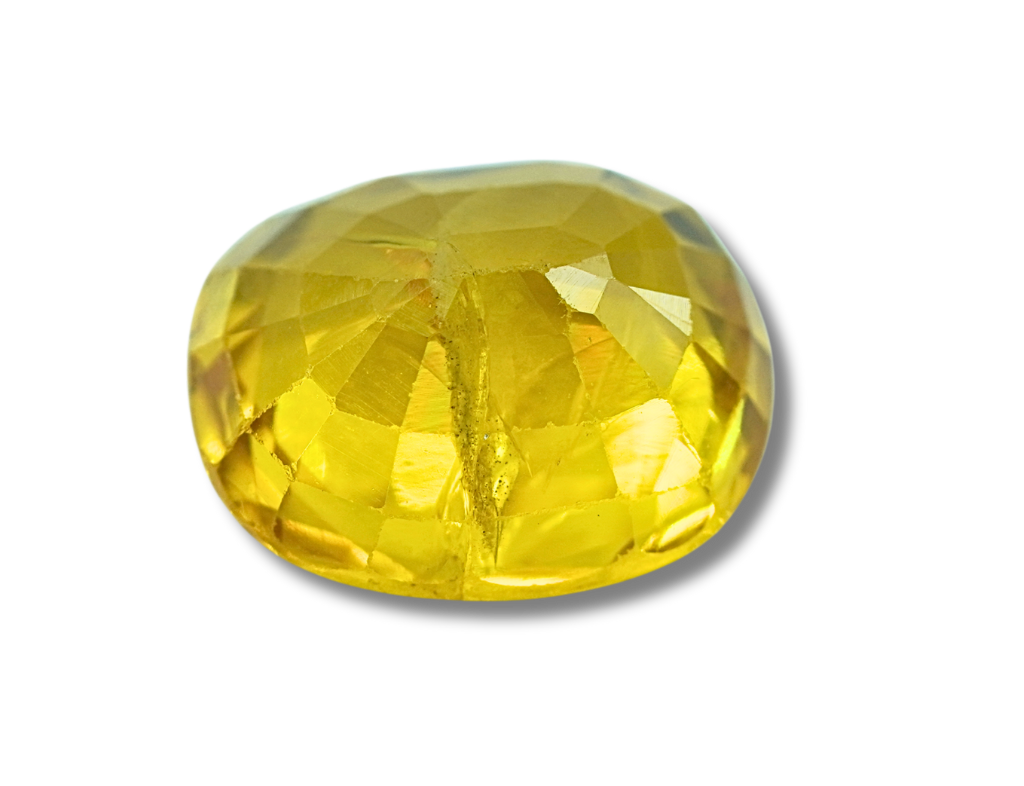 Product Gallery Image